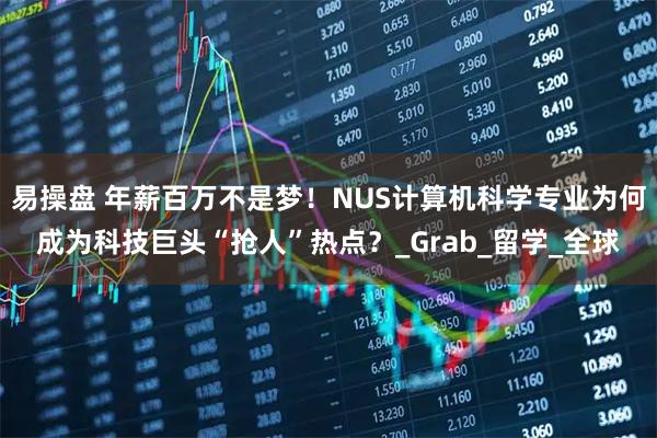 易操盘 年薪百万不是梦！NUS计算机科学专业为何成为科技巨头“抢人”热点？_Grab_留学_全球
