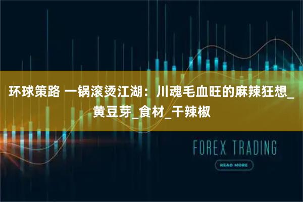 环球策路 一锅滚烫江湖：川魂毛血旺的麻辣狂想_黄豆芽_食材_干辣椒