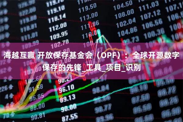 海越互赢 开放保存基金会（OPF）：全球开源数字保存的先锋_工具_项目_识别