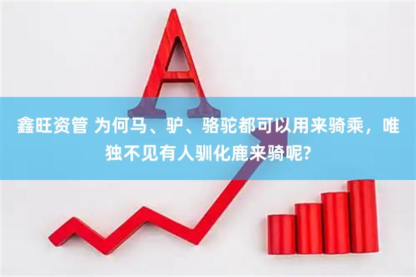 鑫旺资管 为何马、驴、骆驼都可以用来骑乘，唯独不见有人驯化鹿来骑呢?