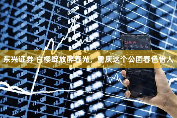 东兴证券 白樱绽放醉春光，重庆这个公园春色怡人