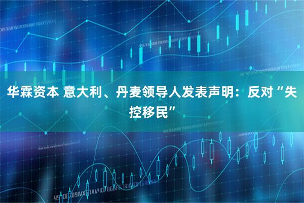 华霖资本 意大利、丹麦领导人发表声明：反对“失控移民”